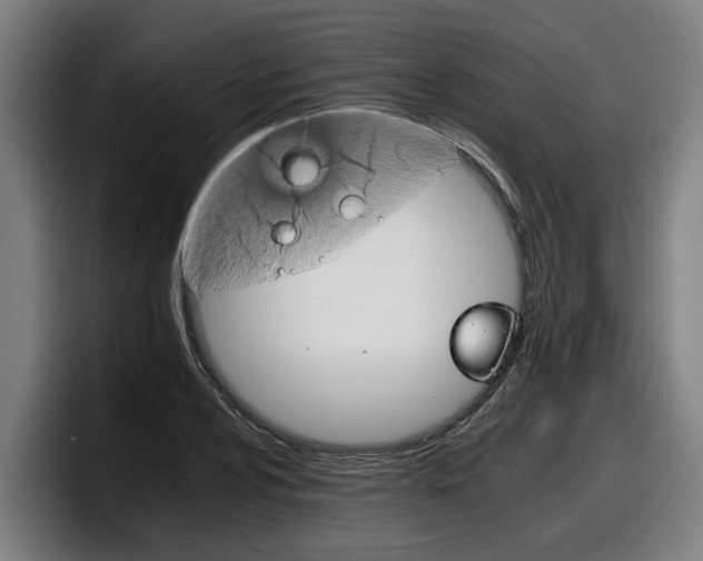 X0000098141024200804171115