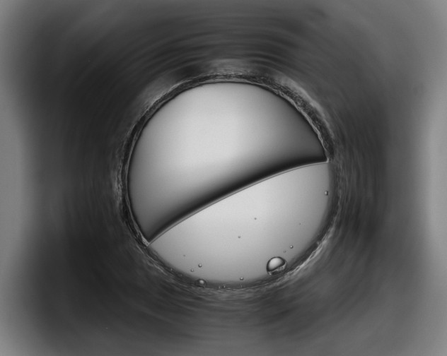 X0000098141025200804171116