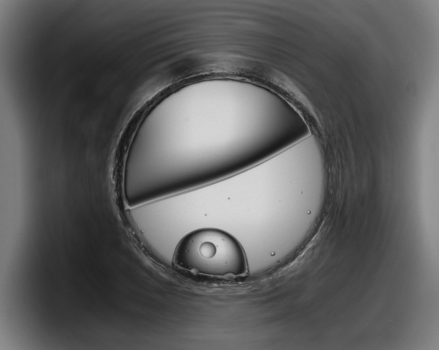 X0000098141026200804171116