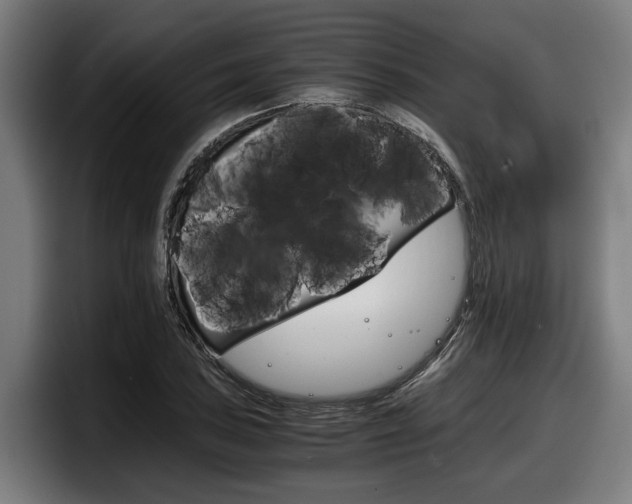 X0000098141027200804171116