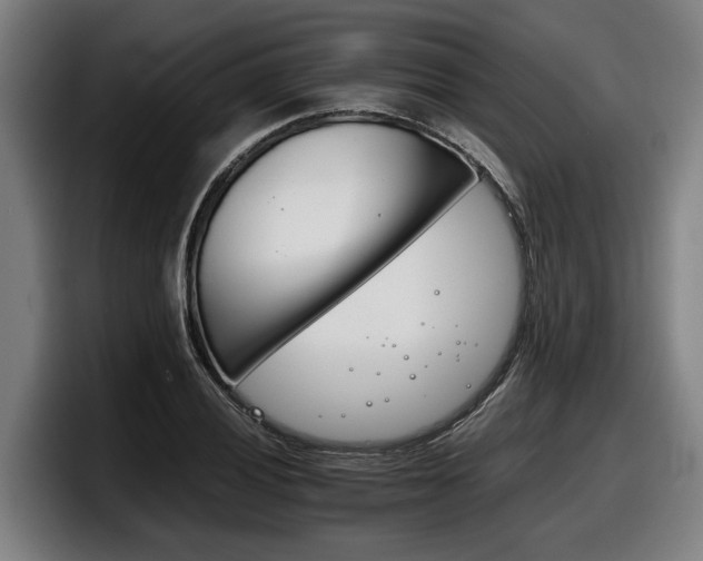 X0000098141028200804171116
