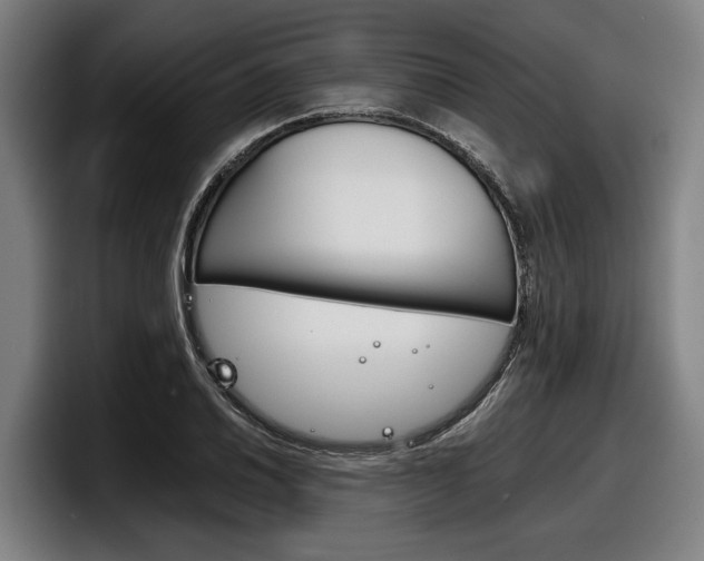 X0000098141030200804171116