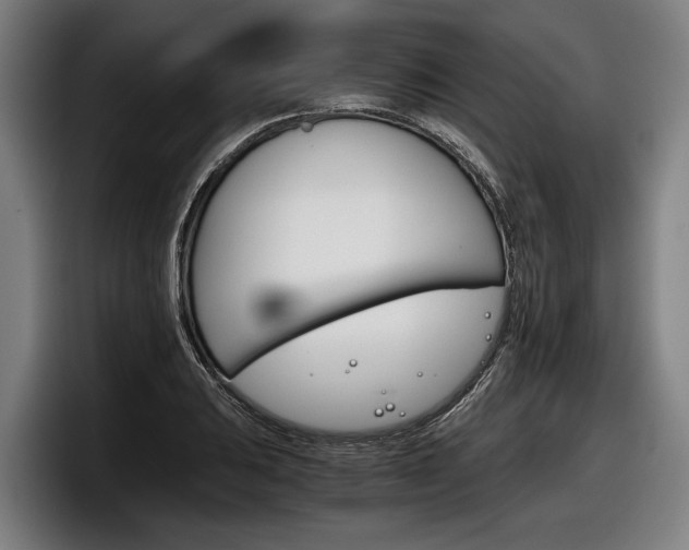 X0000098141031200804171116