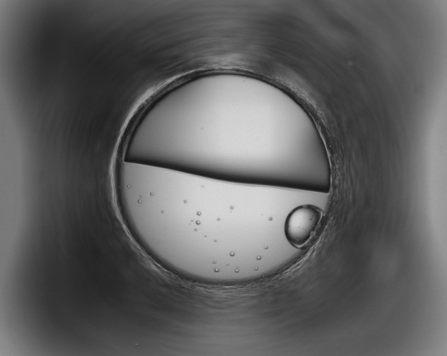 X0000098141032200804171116