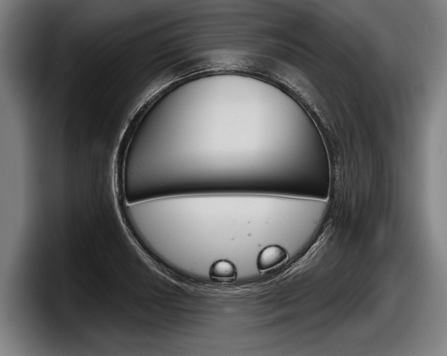X0000098141034200804171116