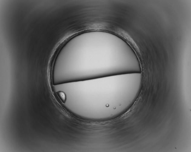 X0000098141035200804171116