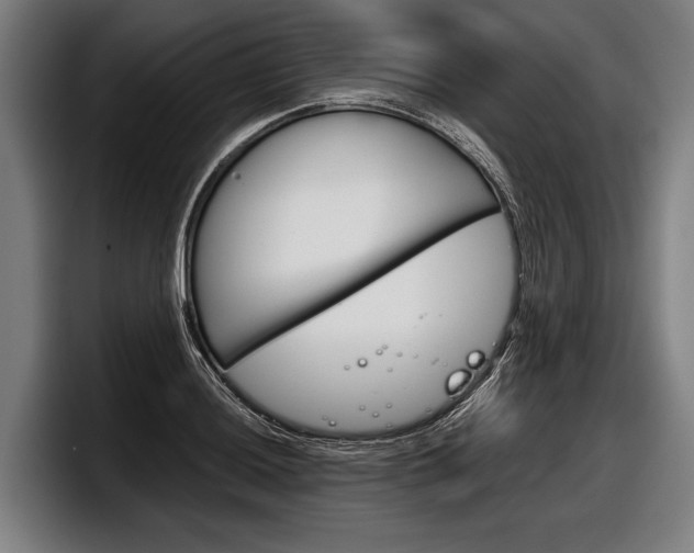 X0000098141036200804171116