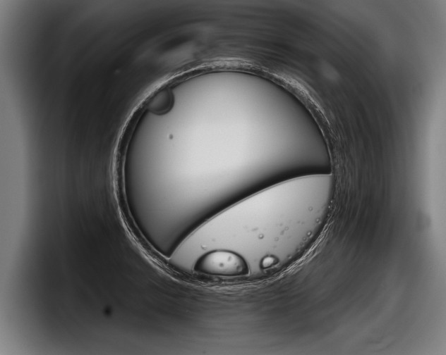 X0000098141038200804171116