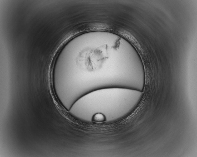 X0000098141039200804171116