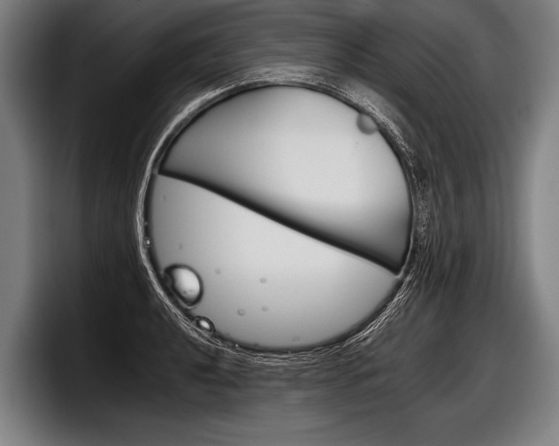 X0000098141040200804171116