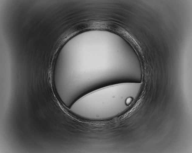 X0000098141041200804171116