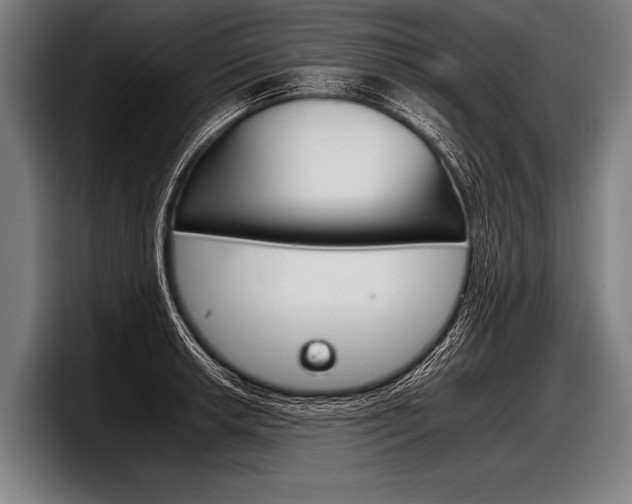 X0000098141042200804171116