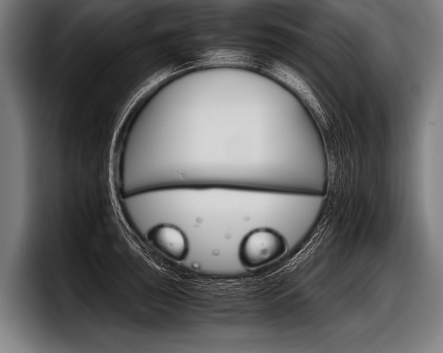 X0000098141043200804171116