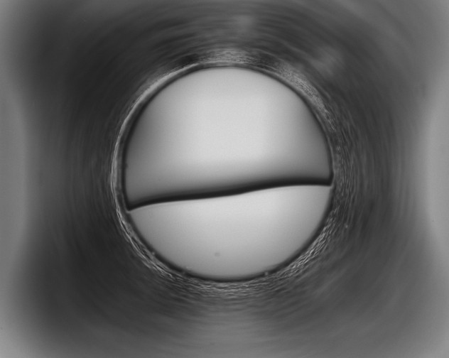 X0000098141044200804171116