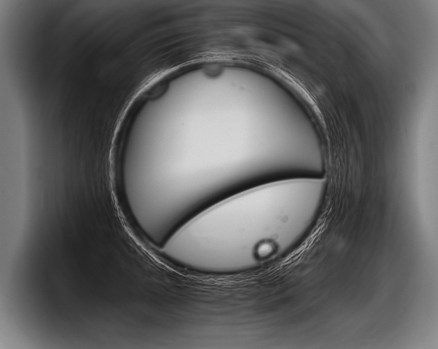 X0000098141045200804171116