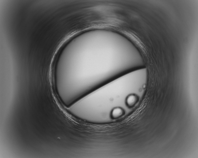 X0000098141046200804171116