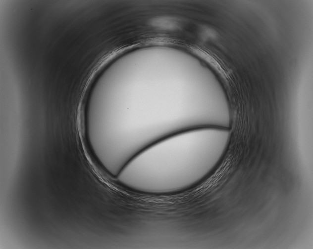X0000098141047200804171116