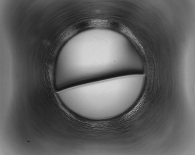 X0000098141049200804171116