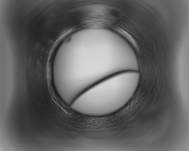 X0000098141051200804171116