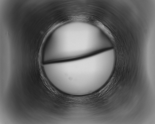 X0000098141052200804171116