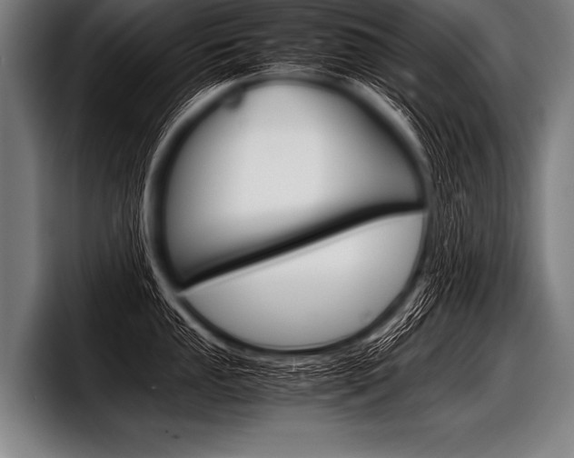 X0000098141053200804171116