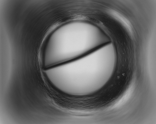 X0000098141054200804171116