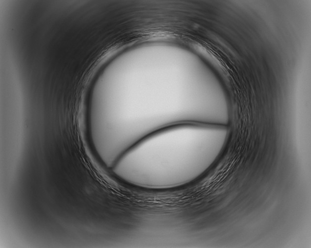 X0000098141055200804171116