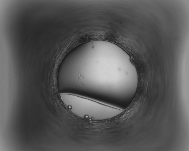 X0000098141057200804171115