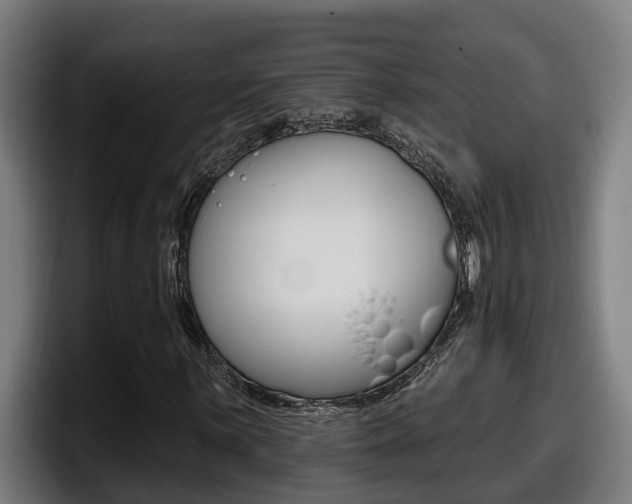 X0000098141059200804171115