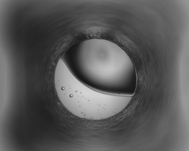 X0000098141060200804171115