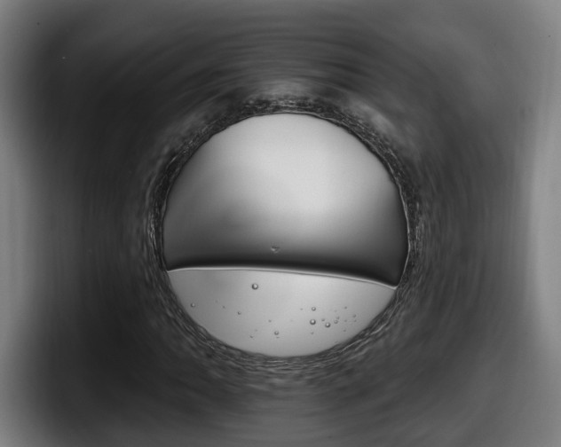 X0000098141062200804171115