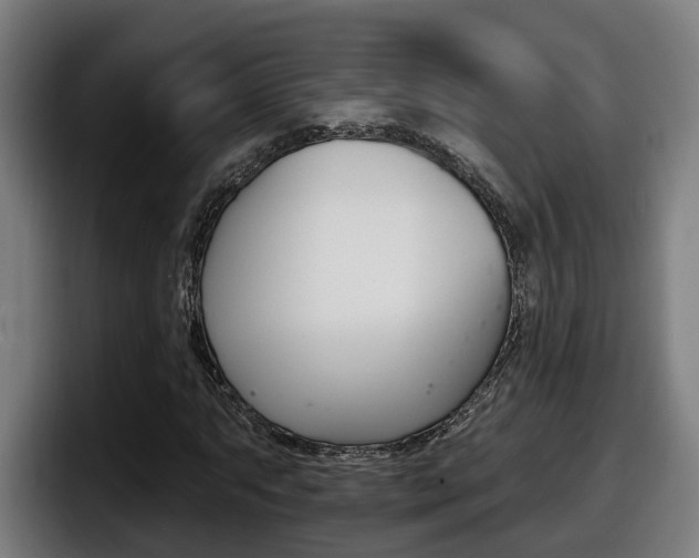 X0000098141063200804171115