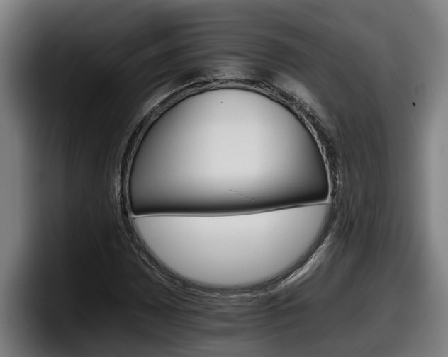 X0000098141065200804171115