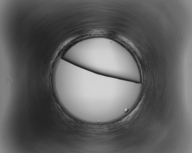 X0000098141066200804171115