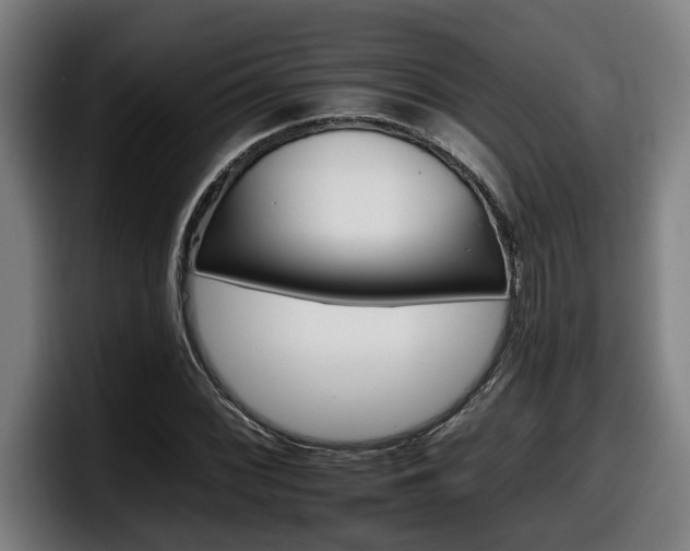 X0000098141068200804171115