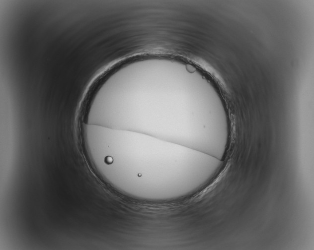 X0000098141070200804171115