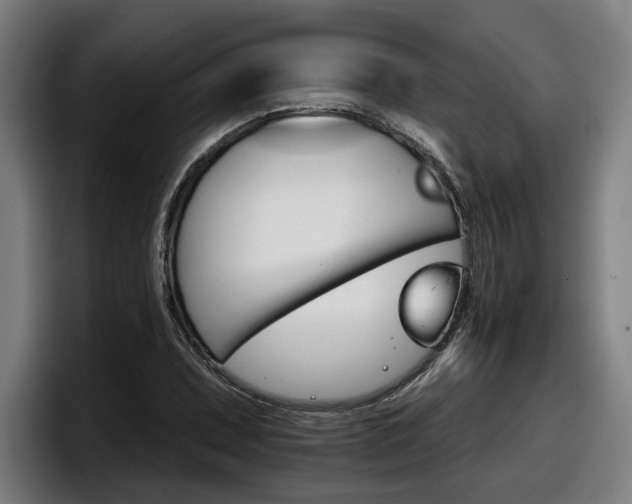 X0000098141071200804171115