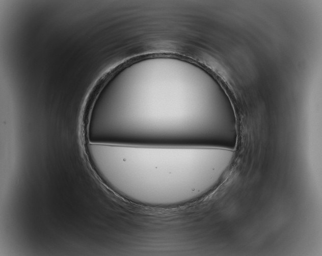 X0000098141072200804171115