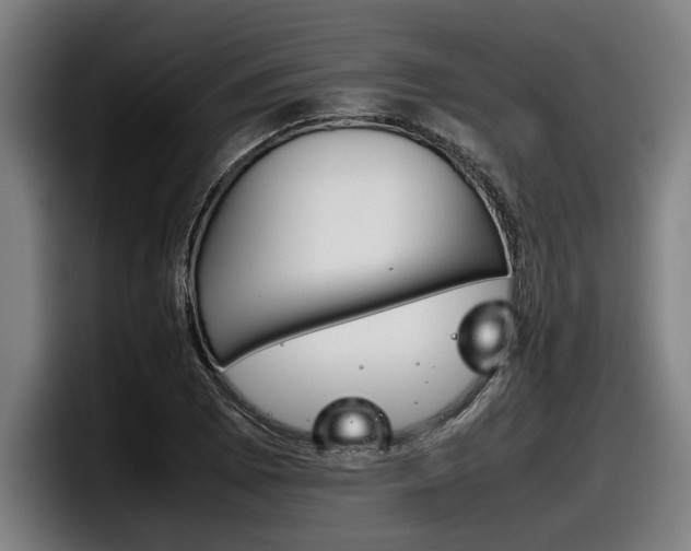 X0000098141073200804171115