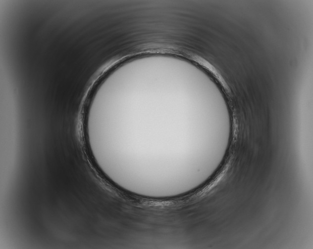 X0000098141074200804171115