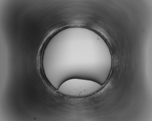 X0000098141075200804171115