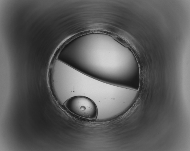 X0000098141076200804171115