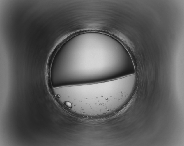 X0000098141077200804171115