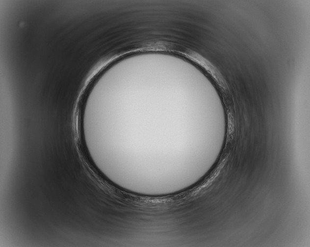 X0000098141078200804171115