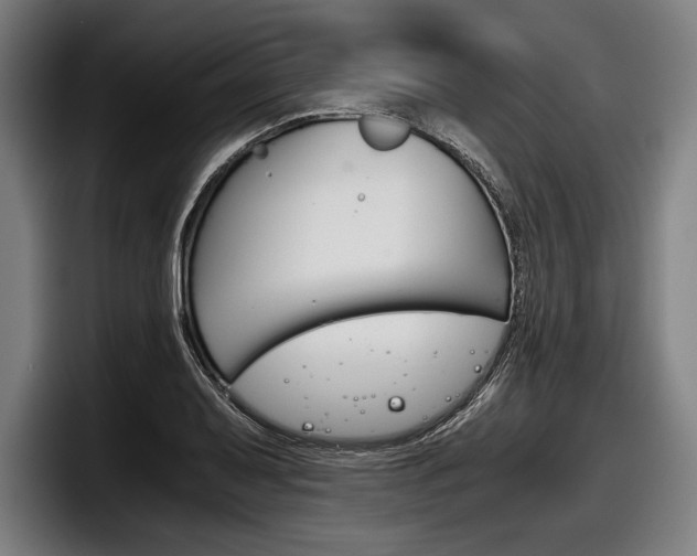 X0000098141079200804171115