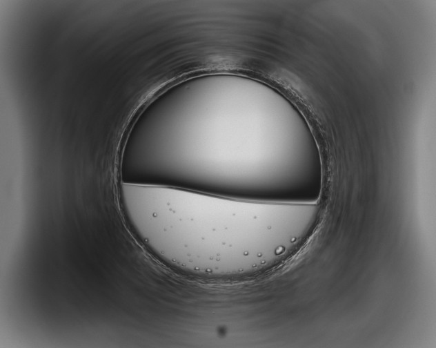 X0000098141081200804171115