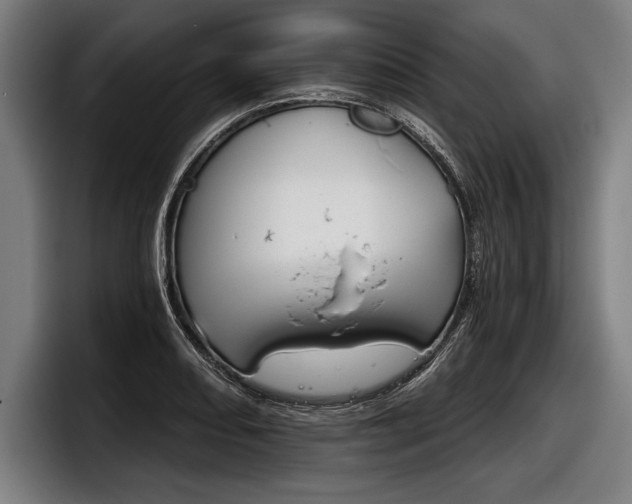 X0000098141082200804171115