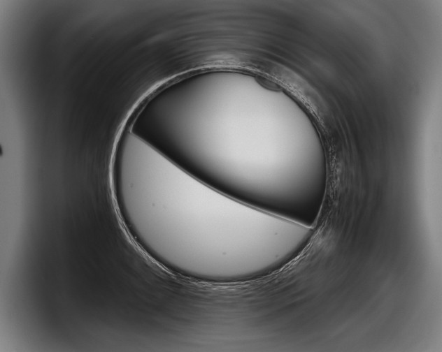 X0000098141084200804171115