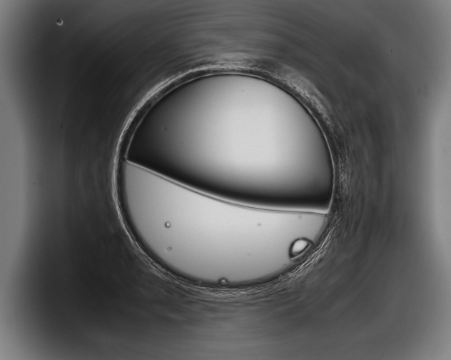X0000098141085200804171115