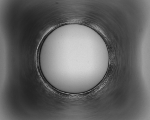 X0000098141087200804171115
